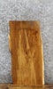 Thumbnail for Live Edge White Oak Taxidermy Mount/Side Table Slab 8161