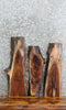Thumbnail for 3- Live Edge Black Walnut Charcuterie Board/Taxidermy Mount Slabs 8164-8166
