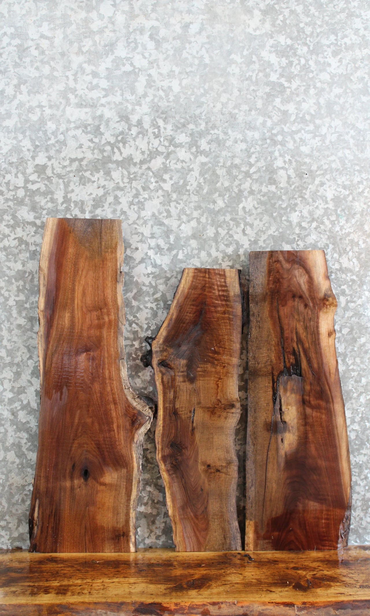 3- Live Edge Black Walnut Charcuterie Board/Taxidermy Mount Slabs 8164-8166