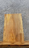 Thumbnail for Live Edge Spalted Maple Taxidermy Mount/Accent Table Top Slab 8167