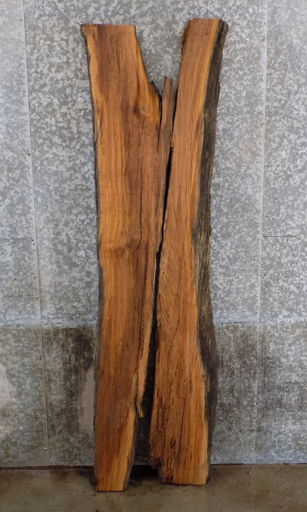 2- Live Edge Red Oak Epoxy Project/Split Board Slabs CLOSEOUT 816