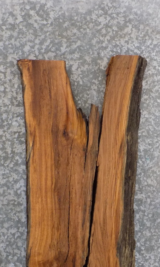 2- Live Edge Red Oak Epoxy Project/Split Board Slabs CLOSEOUT 816