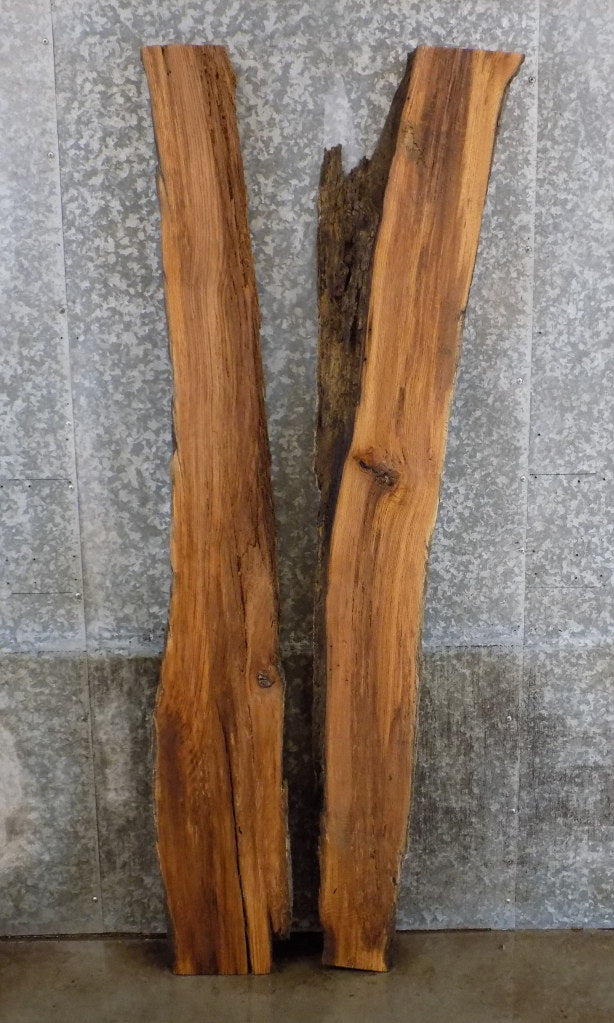 2- Live Edge Red Oak Epoxy Project/Split Board Slabs CLOSEOUT 816