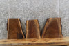 Thumbnail for 3- Live Edge Black Walnut Wall Art/Taxidermy Mount Slabs 8186-8188