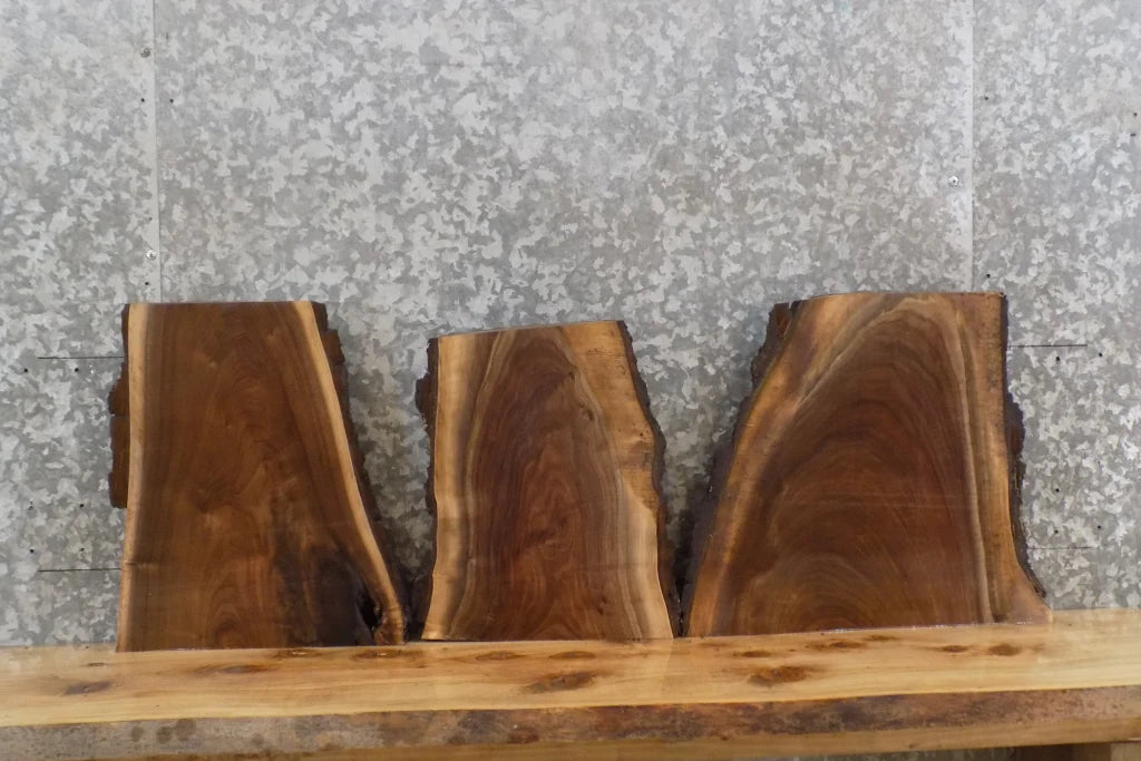 3- Live Edge Black Walnut Wall Art/Taxidermy Mount Slabs 8186-8188