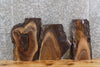 Thumbnail for 3- Live Edge Black Walnut Charcuterie/Cutting/Cheese Board Slabs 8191-8193