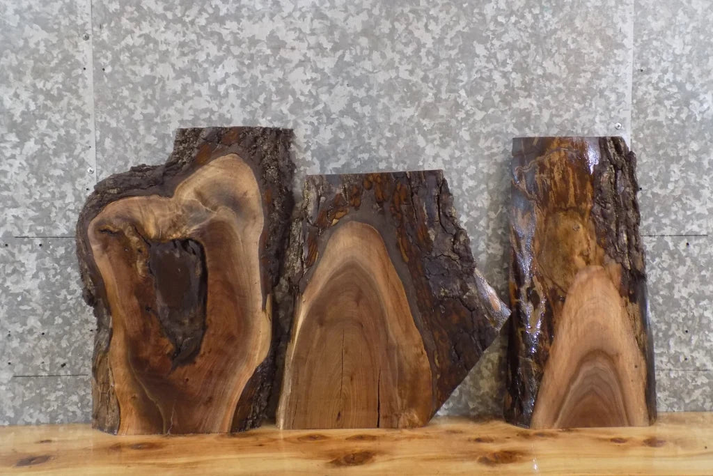 3- Live Edge Black Walnut Charcuterie/Cutting/Cheese Board Slabs 8191-8193