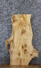 Thumbnail for Live Edge Knotty Pine Side/End Table Slab 8200