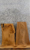 Thumbnail for 2- Live Edge White Oak Taxidermy Mount/Accent Table Top Slab 8206-8207