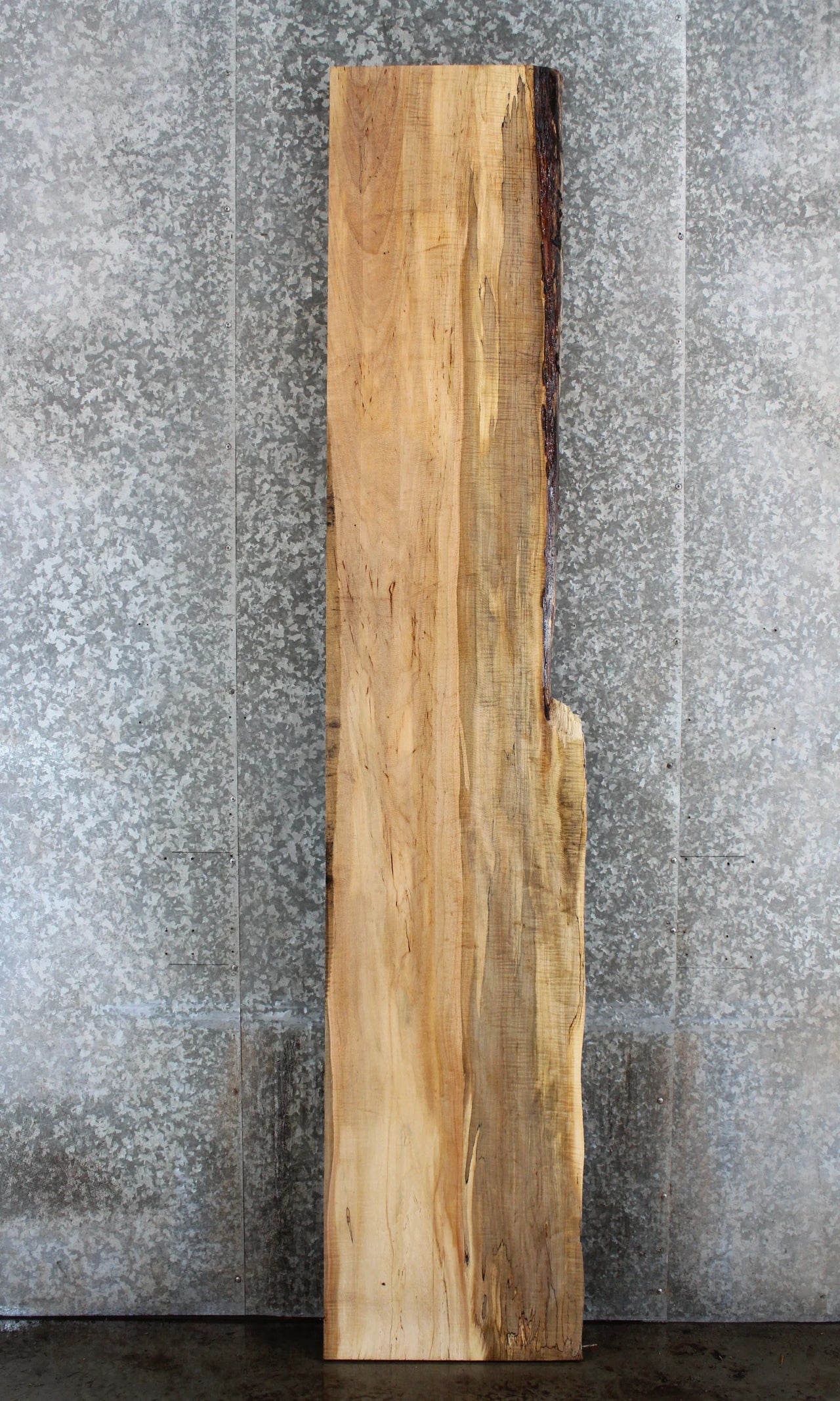 Live Edge Spalted Maple Console Table/Bar Top Slab 820
