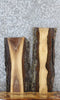 Thumbnail for 2- Live Edge Black Walnut Side/End Table Slabs 8221-8222