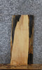 Thumbnail for Live Edge Maple Taxidermy Mounts/Side Table Slab 8225