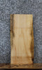 Thumbnail for Live Edge Maple Taxidermy Mounts/Side Table Slab 8225