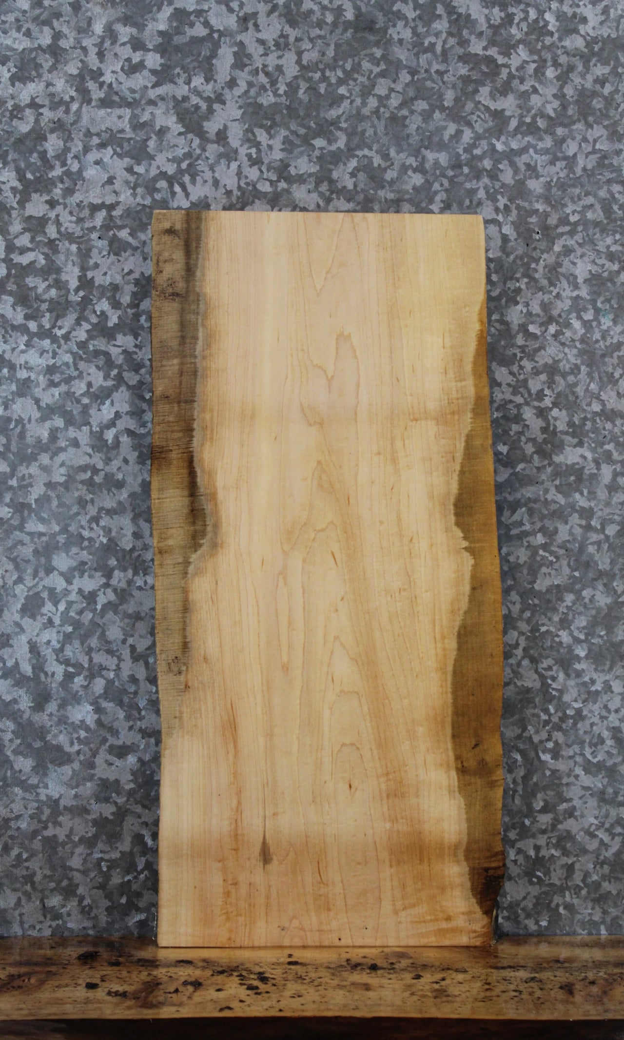 Live Edge Maple Taxidermy Mounts/Side Table Slab 8225