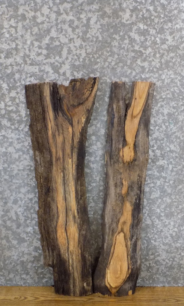 2- DIY Live Edge Rustic White Oak/Ash Charcuterie Boards/Slabs 8232-8233