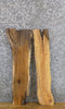 Thumbnail for 2- DIY Live Edge Rustic White Oak/Ash Charcuterie Boards/Slabs 8232-8233