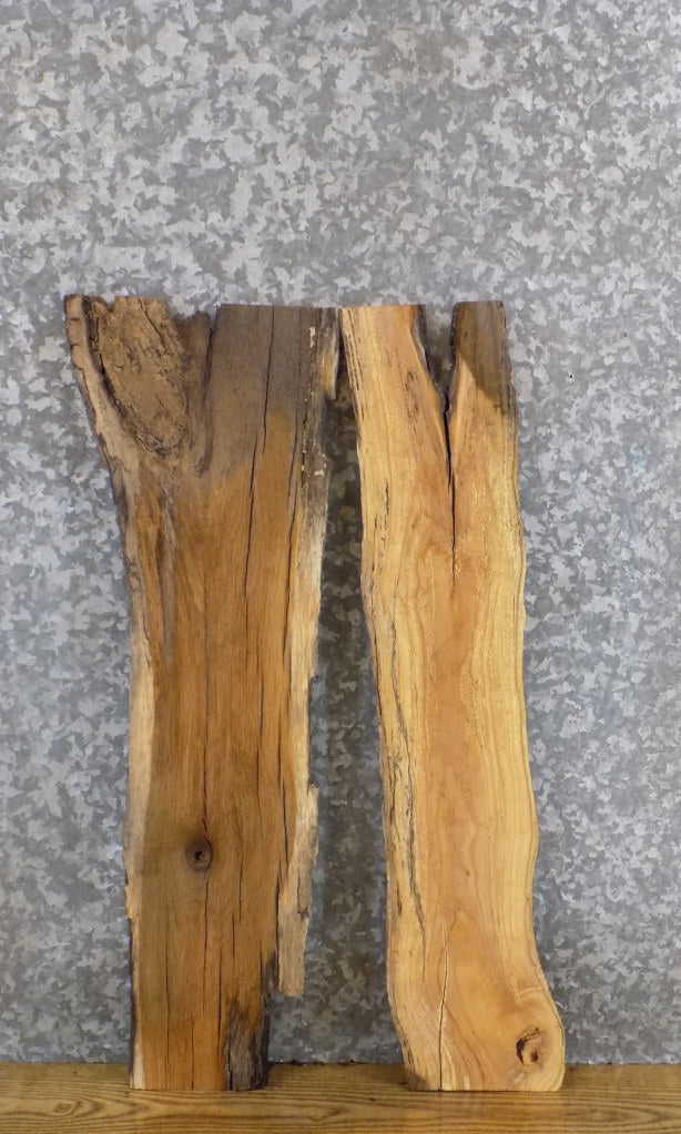 2- DIY Live Edge Rustic White Oak/Ash Charcuterie Boards/Slabs 8232-8233