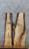 Thumbnail for 2- Live Edge Spalted Maple Side Table Top/Taxidermy Mount Slab 8247-8248
