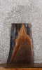 Thumbnail for Black Walnut Natural Edge Charcuterie Slab/Taxidermy Mount 8249