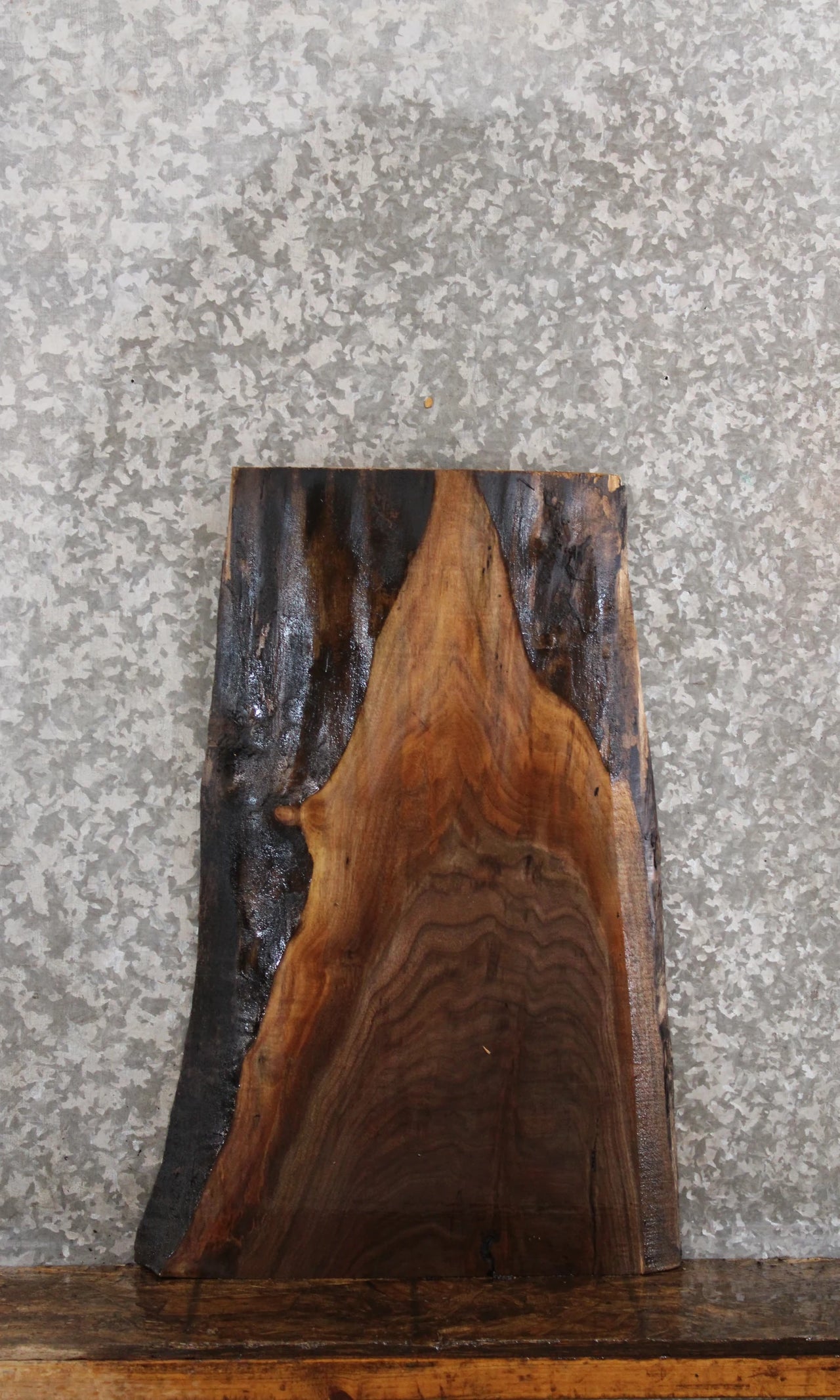 Black Walnut Natural Edge Charcuterie Slab/Taxidermy Mount 8249