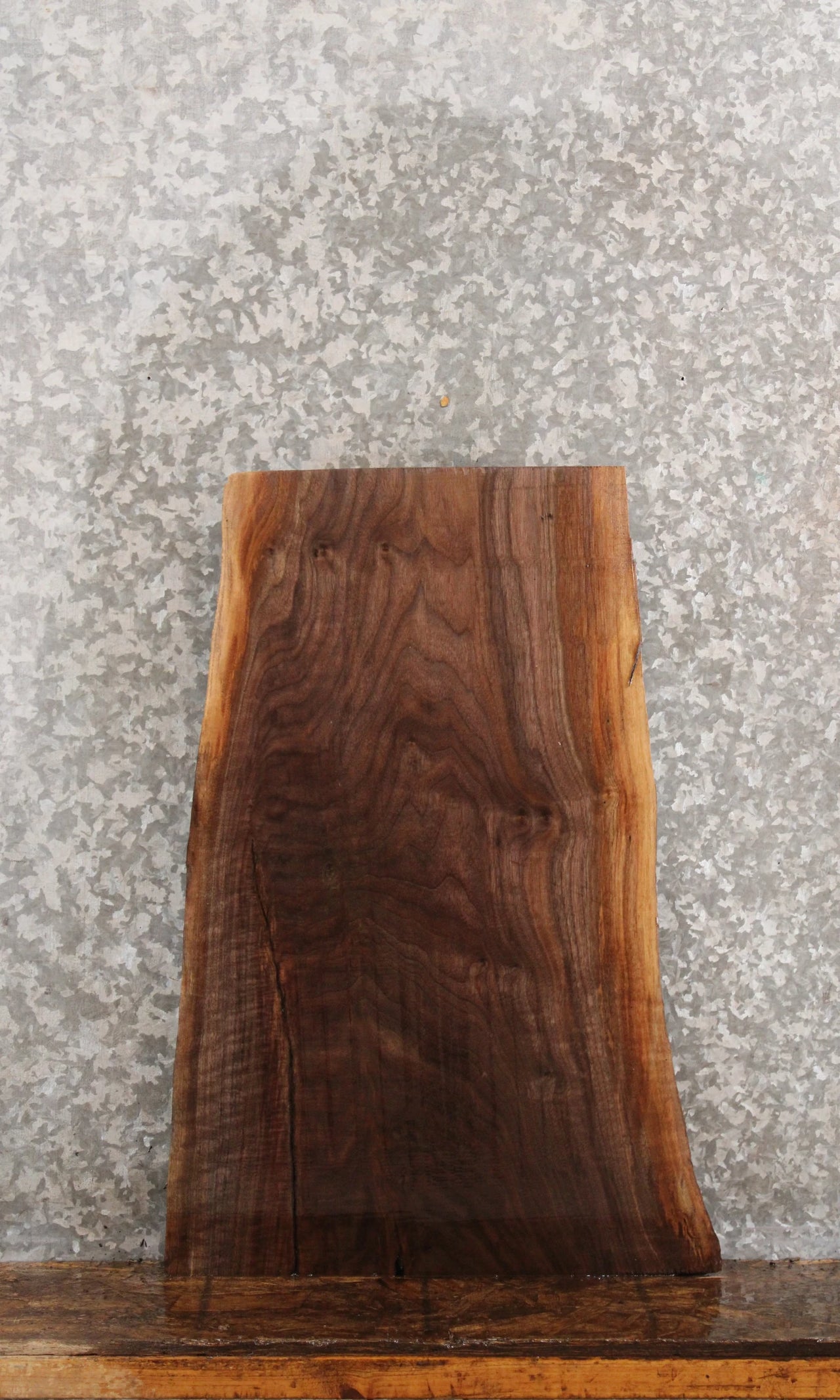 Black Walnut Natural Edge Charcuterie Slab/Taxidermy Mount 8249
