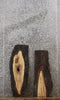 Thumbnail for 2- Live Edge Maple Slabs/ Wall Shelves/ Wooden Taxidermy Mounts 8250-8251