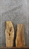 Thumbnail for 2- Live Edge Maple Slabs/ Wall Shelves/ Wooden Taxidermy Mounts 8250-8251