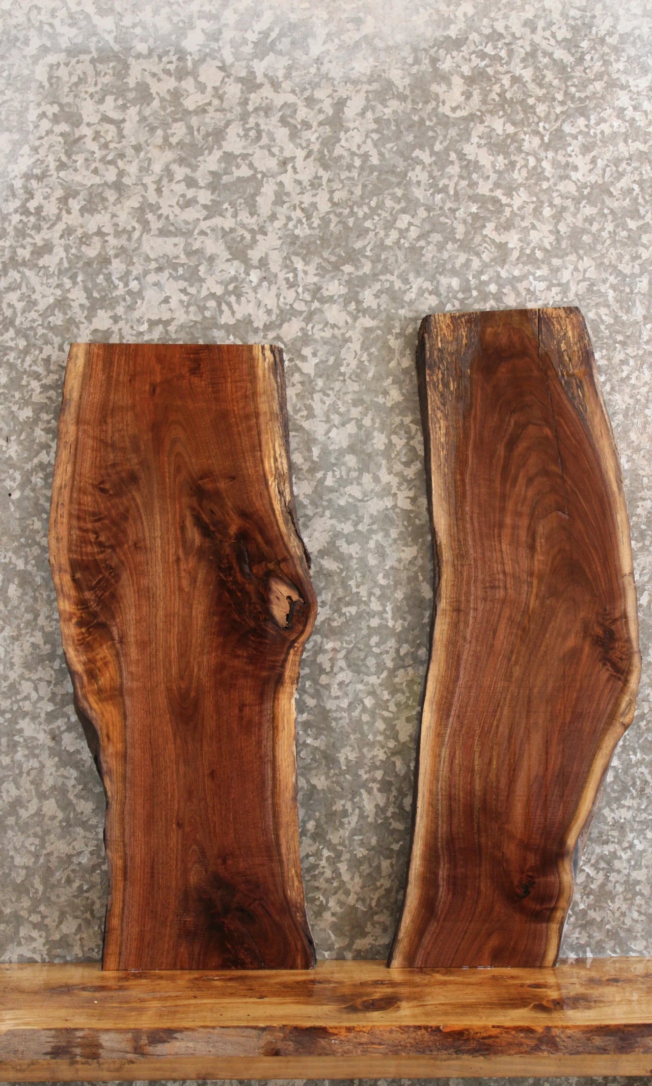 2- Black Walnut Live Edge Charcuterie Boards/Taxidermy Slabs 8252-8253
