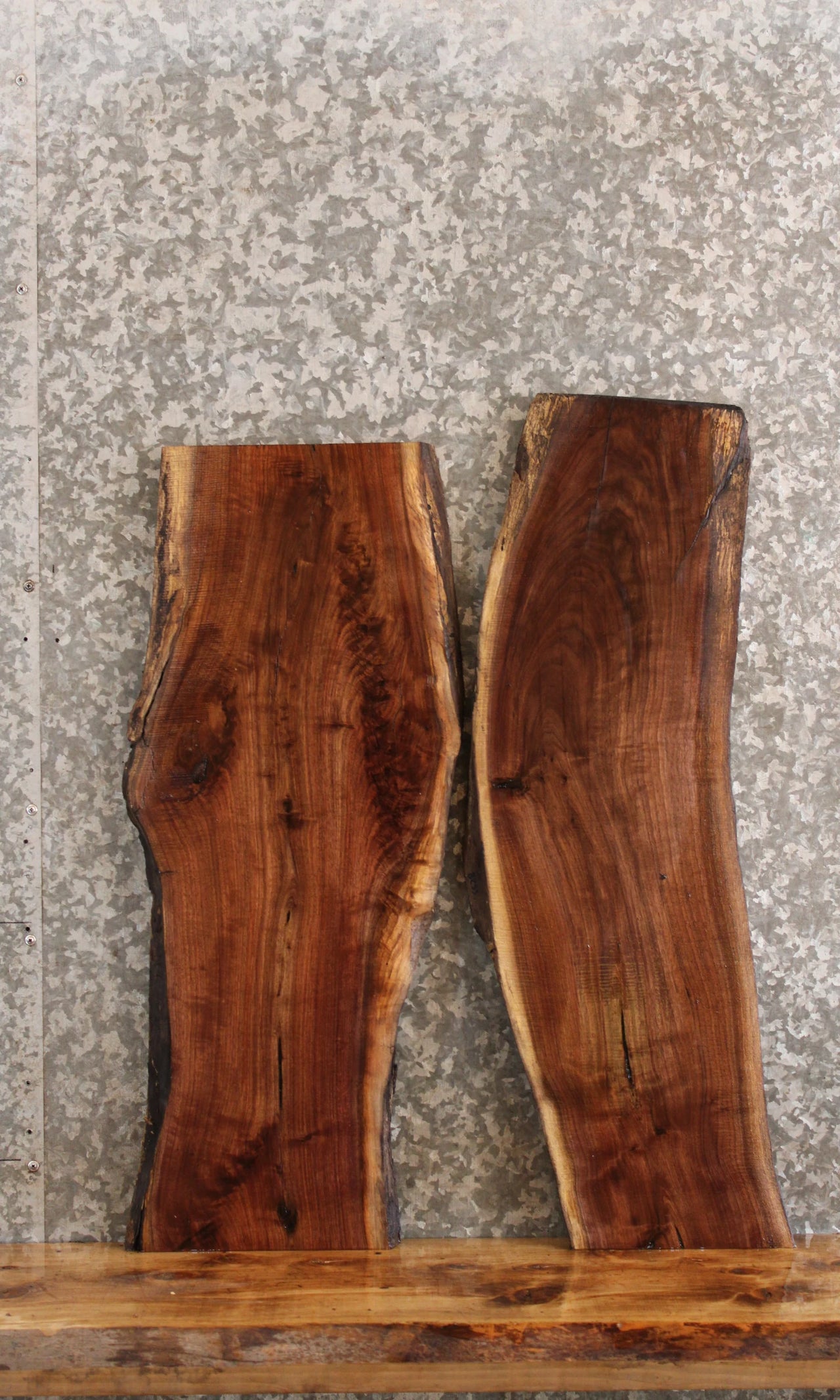 2- Black Walnut Live Edge Charcuterie Boards/Taxidermy Slabs 8252-8253