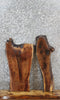 Thumbnail for 2- Walnut Live Edge Charcuterie/Taxidermy/Shelf Slabs 8255-8256
