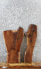 Thumbnail for 2- Walnut Live Edge Charcuterie/Taxidermy/Shelf Slabs 8255-8256