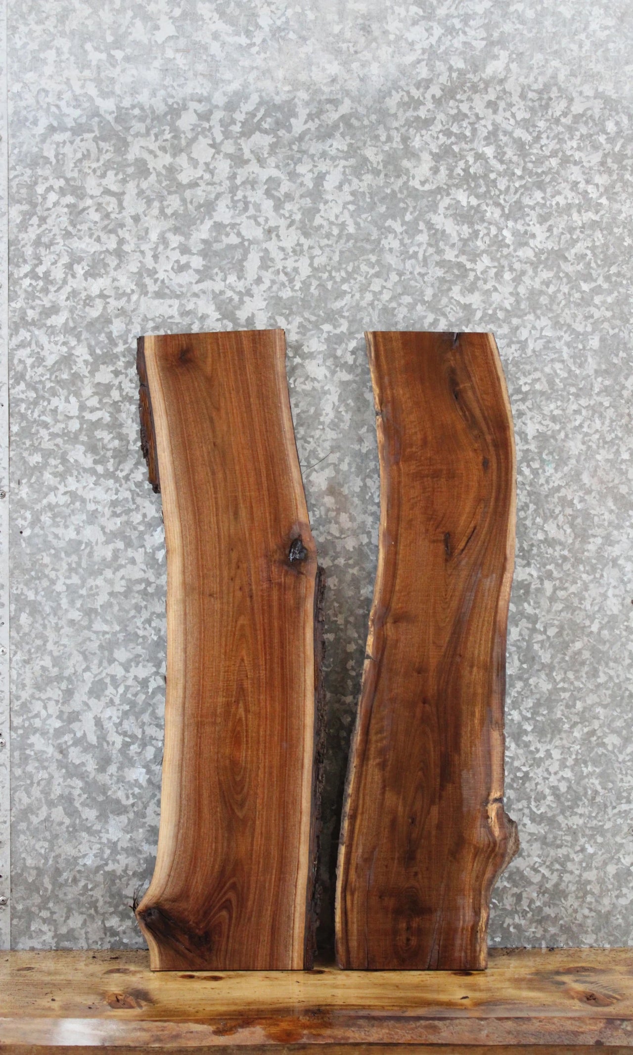 2- Walnut Live Edge Charcuterie/Taxidermy/Shelf Slabs 8261-8262