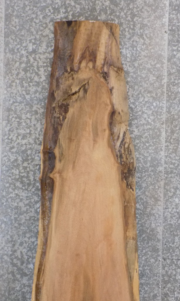 Salvaged Live Edge Sycamore Reception Table Top Wood Slab 826