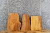 Thumbnail for 3- Live Edge Red Oak Taxidermy Mount/Wall Shelf Slabs 8273-8275