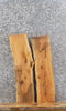 Thumbnail for 2- Live Edge Red Oak Wall Shelf/End/Accent Table Top Slabs 8276-8277