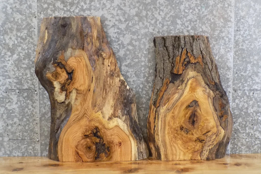 2- Live Edge Red Oak Taxidermy Mount/Side Table Top Slab 8291-8292