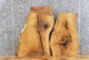 Thumbnail for 2- Live Edge Red Oak Taxidermy Mount/Side Table Top Slab 8291-8292