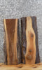 Thumbnail for 2- Live Edge Black Walnut Taxidermy Mount/End Table Top Slab 8293-8294