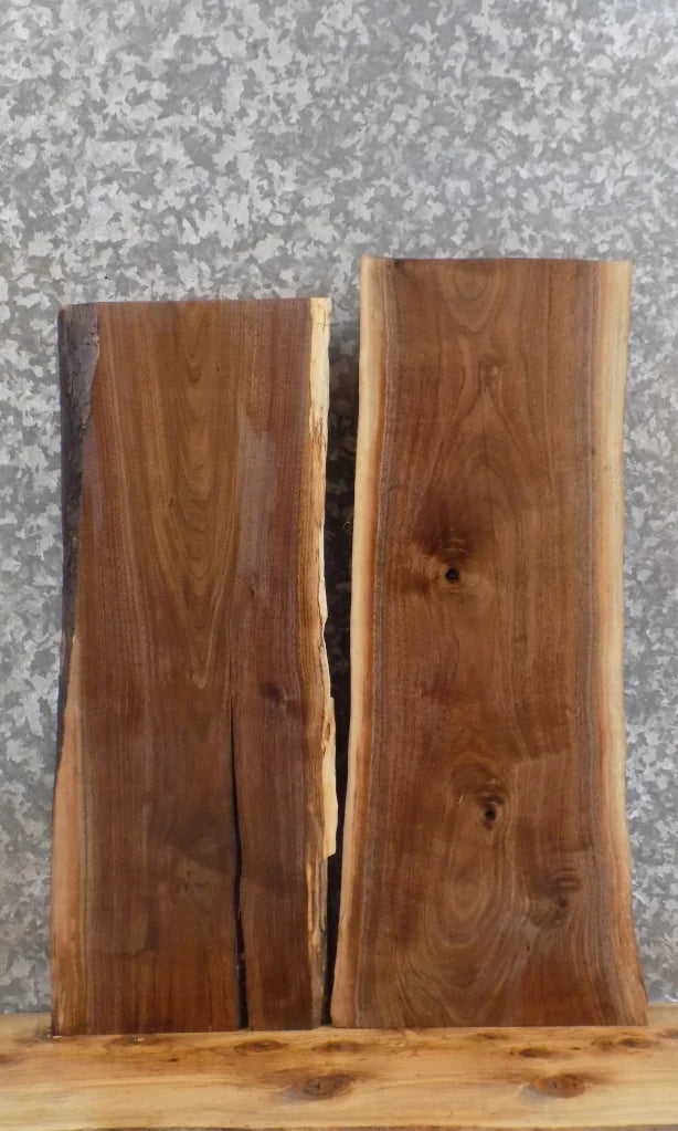 2- Live Edge Black Walnut Taxidermy Mount/End Table Top Slab 8293-8294