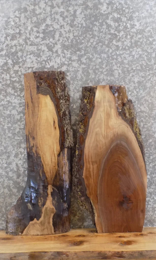 2- Live Edge Black Walnut Wall Shelf/End/Coffee Table Top Slabs 8295-8296