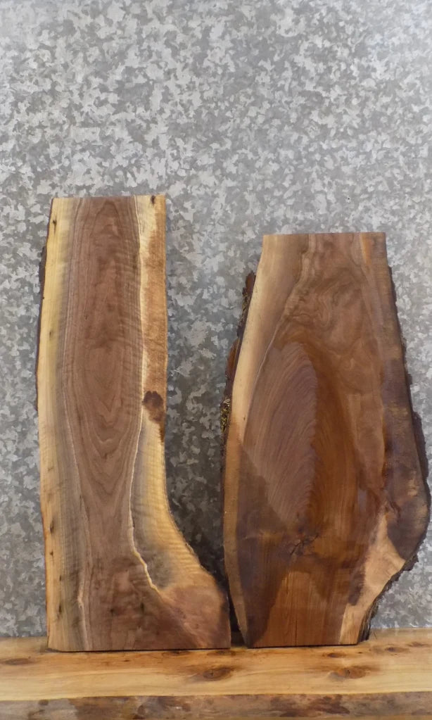 2- Live Edge Black Walnut Wall Shelf/End/Coffee Table Top Slabs 8295-8296