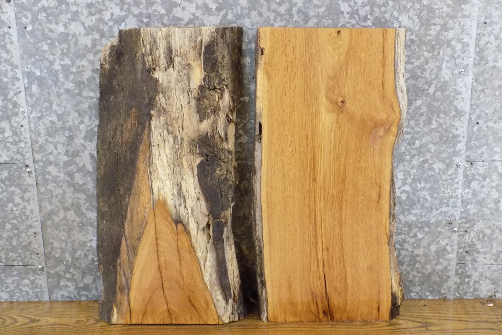2- Live Edge White Oak DIY Charcuterie Boards/Craft Pack Slabs 831-832