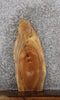Thumbnail for Maple Live Edge Taxidermy Mount/Charcuterie Board 8317