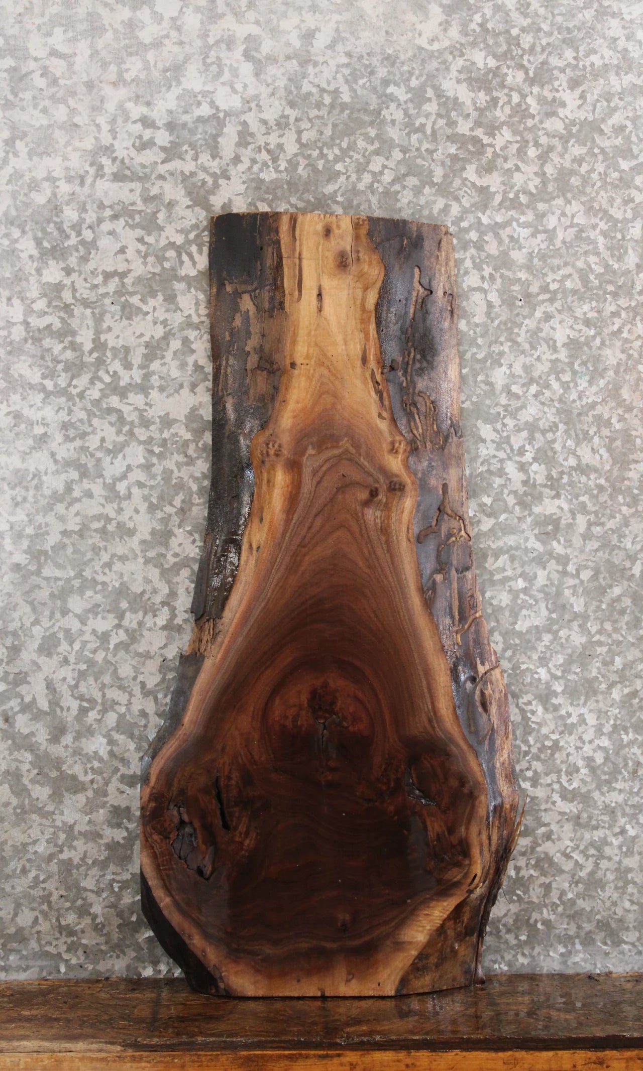 Black Walnut Live Edge Charcuterie Board/Taxidermy Mount 8319