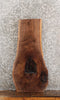 Thumbnail for Black Walnut Live Edge Charcuterie Board/Taxidermy Mount 8319