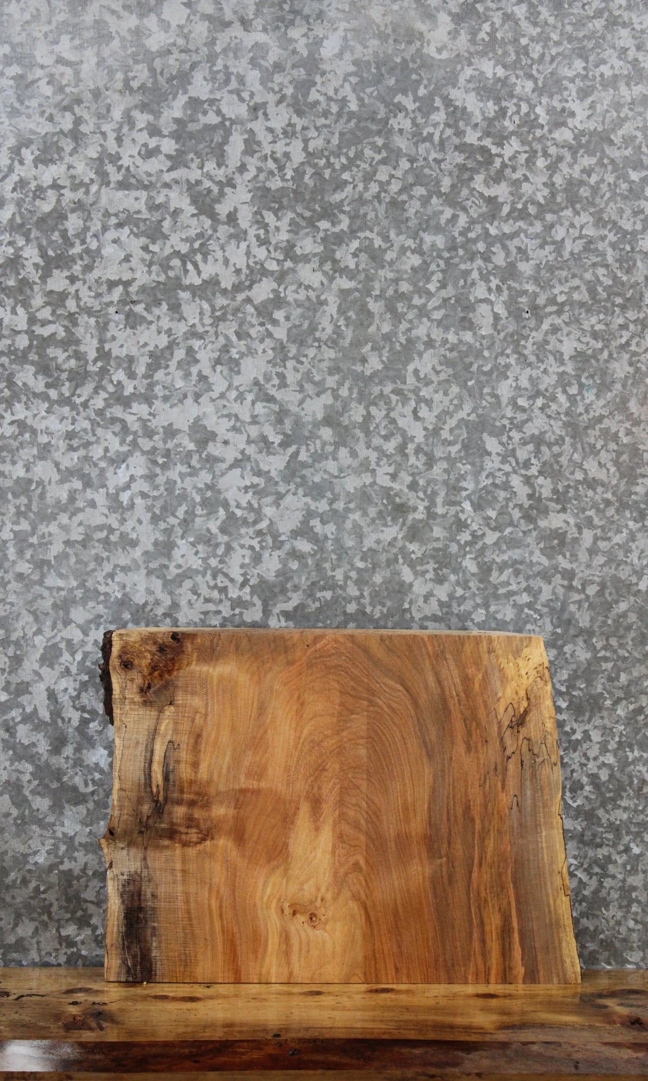 Spalted Maple Live Edge Charcuterie/Small End Table Slab 831