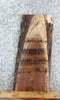 Thumbnail for Live Edge Black Walnut Side Table Tops/Taxidermy Mount Slabs 8321