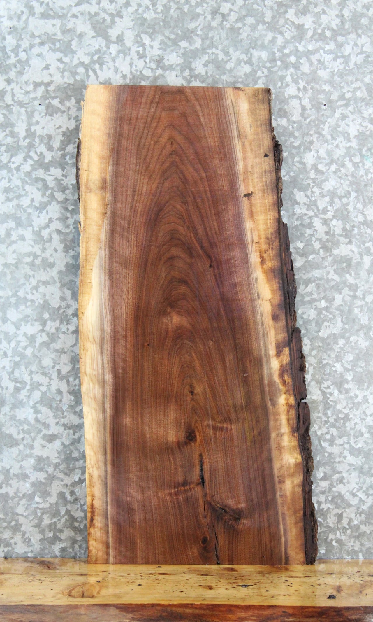 Live Edge Black Walnut Side Table Tops/Taxidermy Mount Slabs 8321