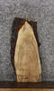 Thumbnail for Maple Live Edge Charcuterie Board/Taxidermy Slab 8322