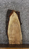 Thumbnail for Maple Live Edge Charcuterie Board/Taxidermy Slab 8322